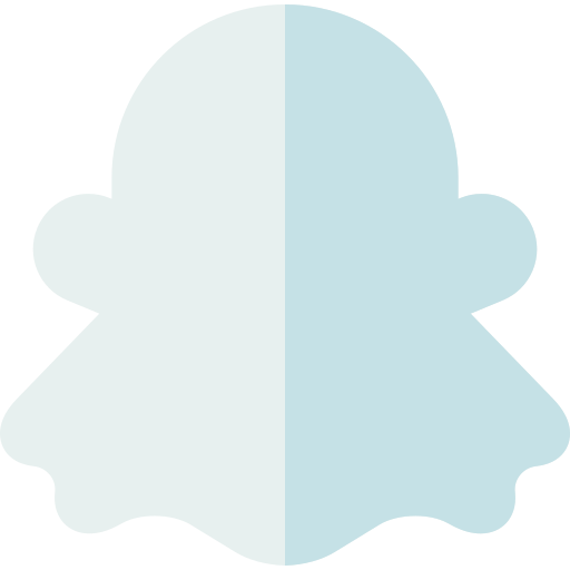 snapchat Basic Rounded Flat icon