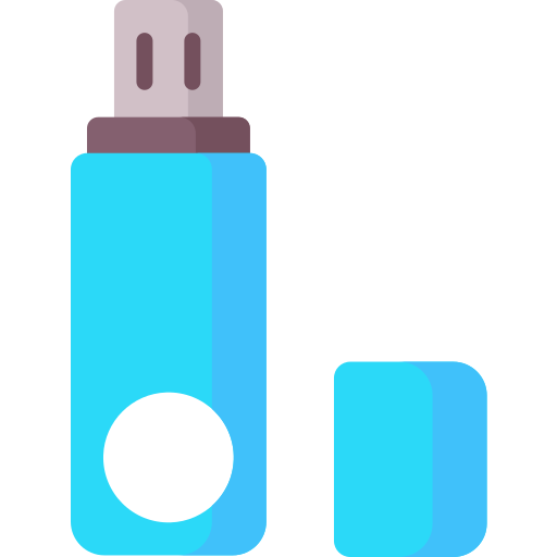 Flash drive Special Flat icon