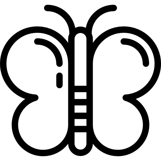mariposa Detailed Rounded Lineal icono