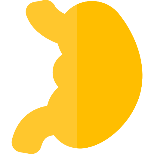 お腹 Basic Rounded Flat icon