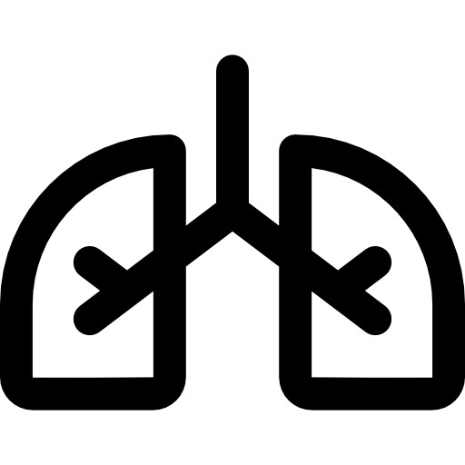 肺 Basic Rounded Lineal icon