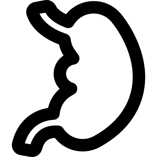 Stomach Basic Rounded Lineal icon