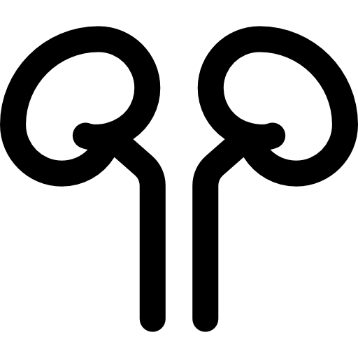 Kidney Basic Rounded Lineal icon