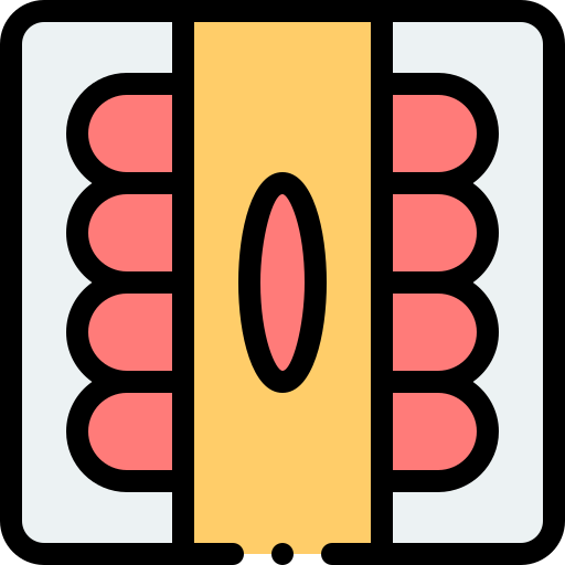 소세지 Detailed Rounded Lineal color icon