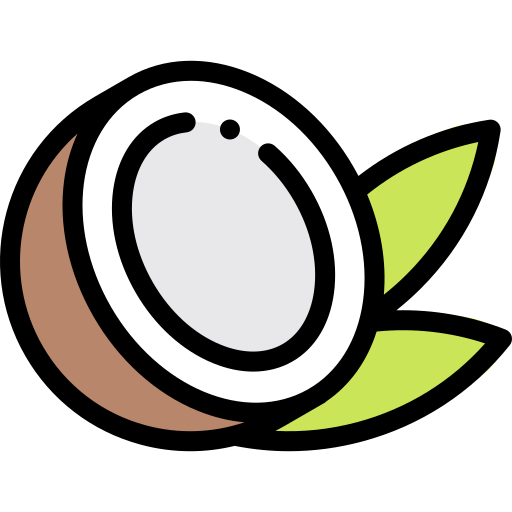 orzech kokosowy Detailed Rounded Lineal color ikona