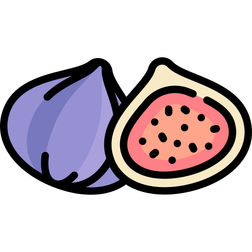 Figs Special Lineal color icon