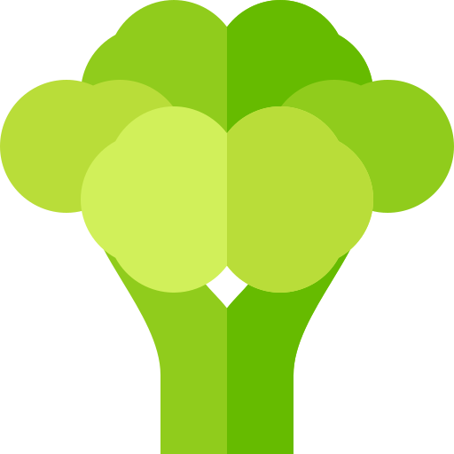 Broccoli Basic Straight Flat icon