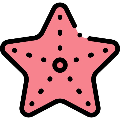 Starfish Detailed Rounded Lineal color icon