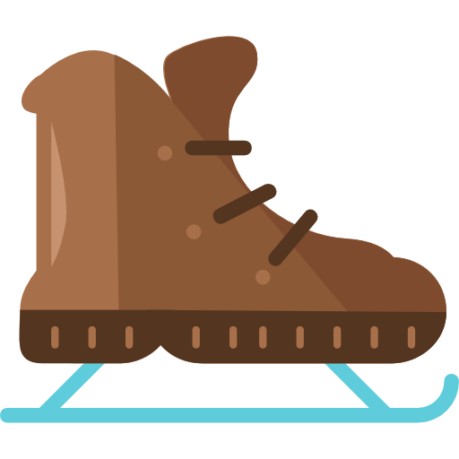 Ice skate Roundicons Flat icon