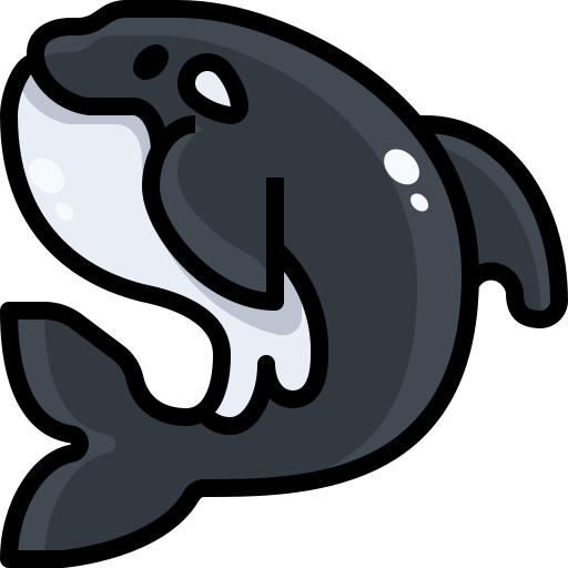 Killer whale Justicon Lineal Color icon