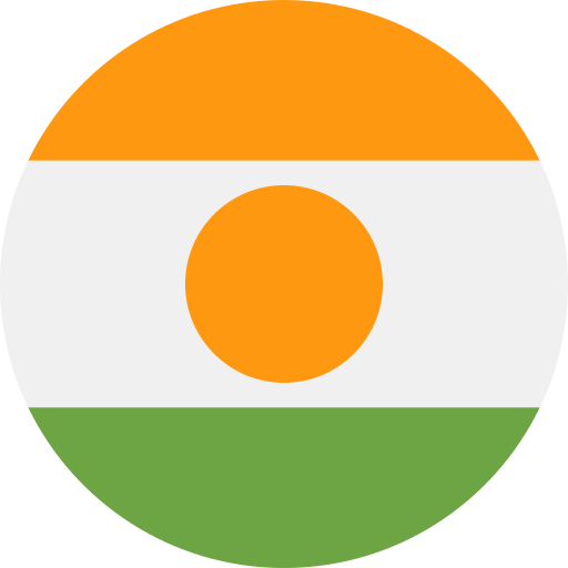 Niger Flags Rounded icon