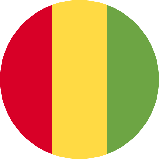 guinea Flags Rounded icono