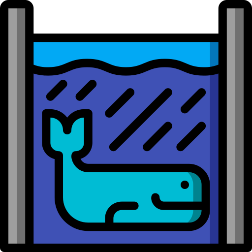 Whale Basic Miscellany Lineal Color icon