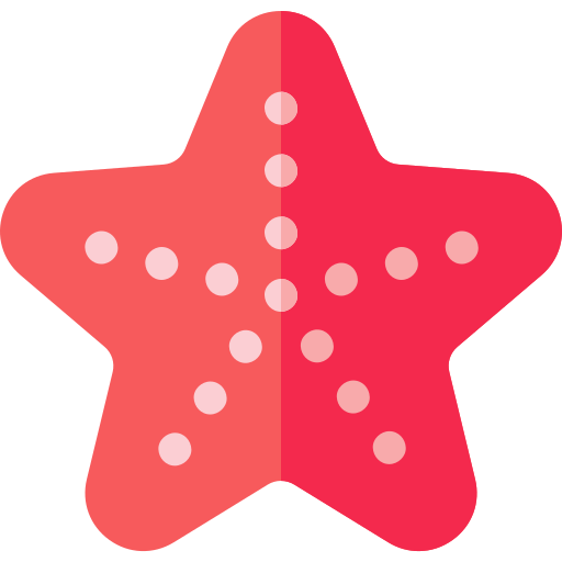 Estrella de mar Basic Straight Flat icono