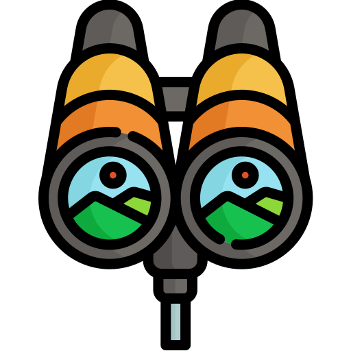 Binoculars Special Lineal color icon