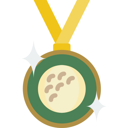 Medalha Basic Miscellany Flat Ícone