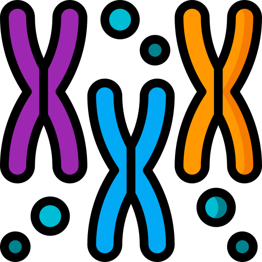 chromosomen Basic Miscellany Lineal Color icoon