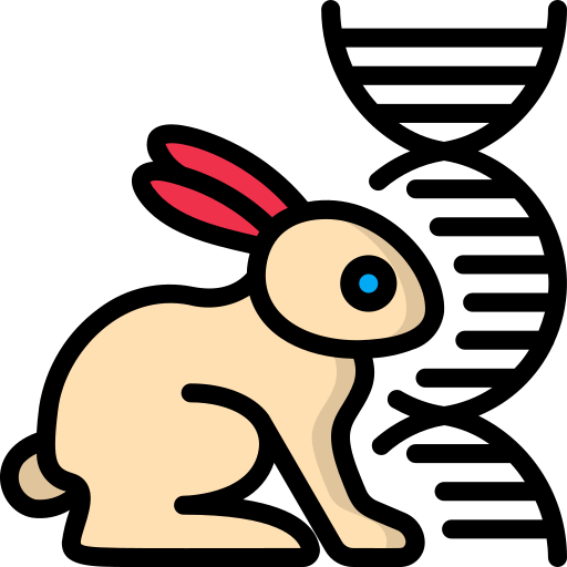 Conejo Basic Miscellany Lineal Color icono