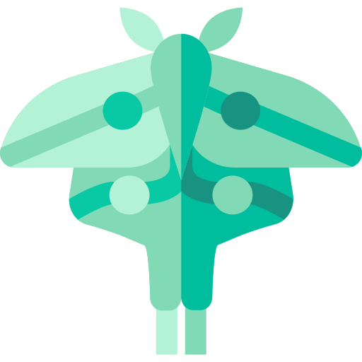 Moth Basic Straight Flat icon