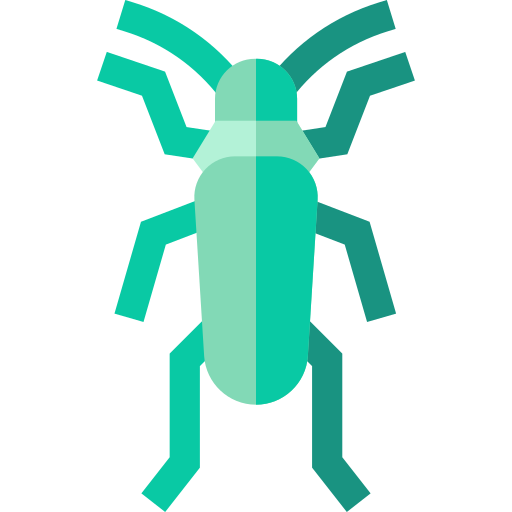 scarabée Basic Straight Flat Icône