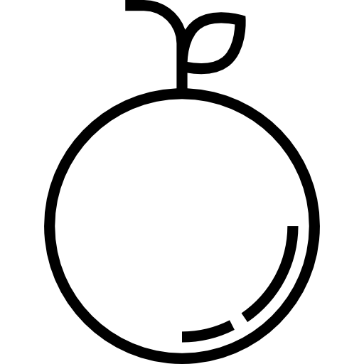 arancia Detailed Straight Lineal icona