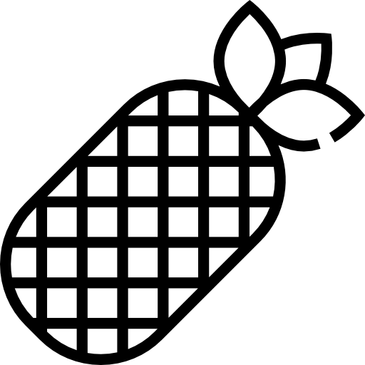 ananas Detailed Straight Lineal icon