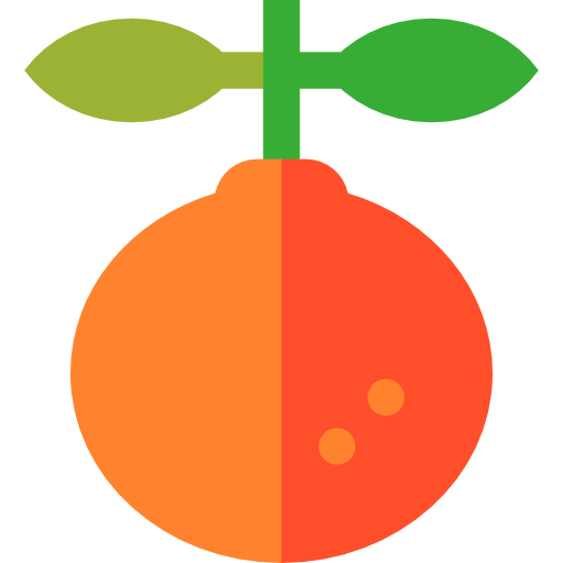 orange Basic Straight Flat Icône
