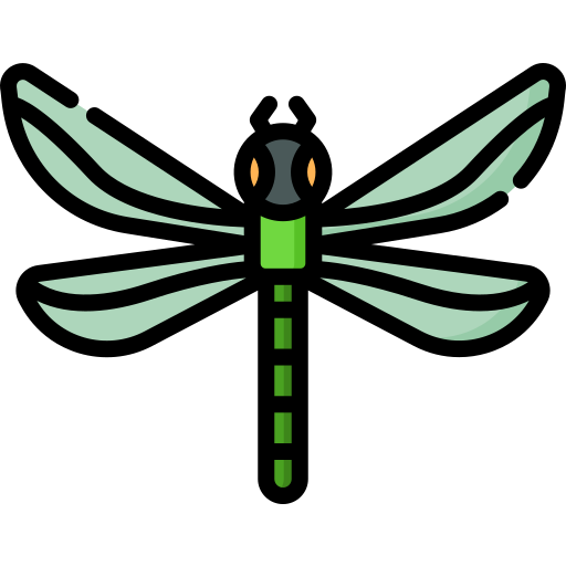 Dragonfly Special Lineal color icon