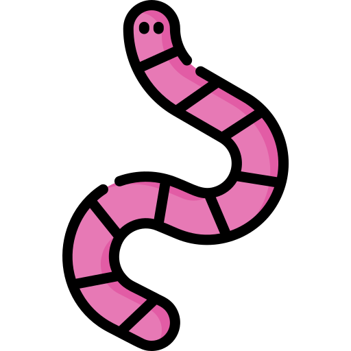 wurm Special Lineal color icon