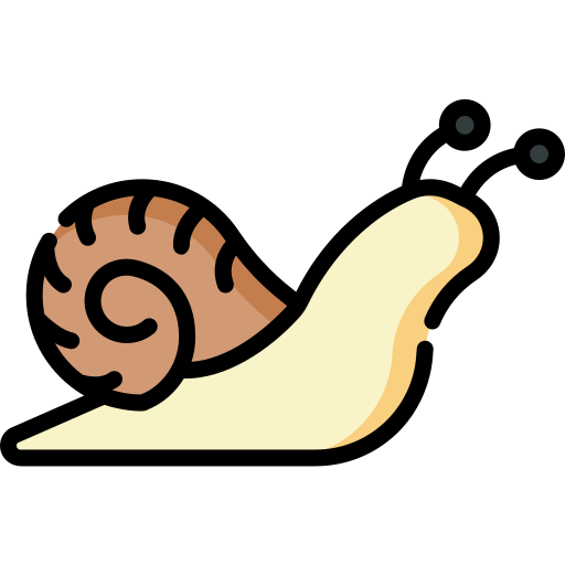 Snail Special Lineal color icon