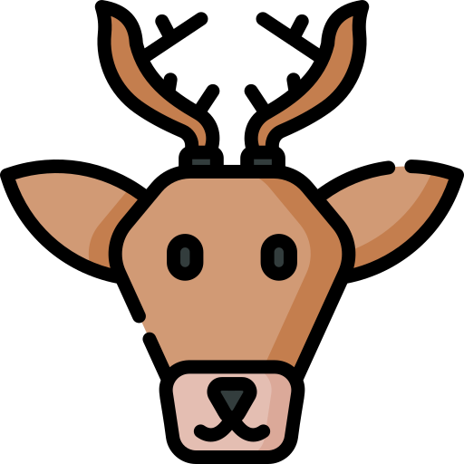 Deer Special Lineal color icon