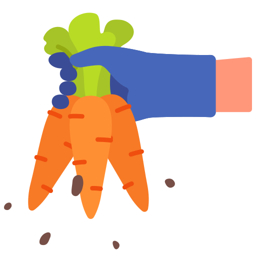 Carrots Victoruler Flat icon