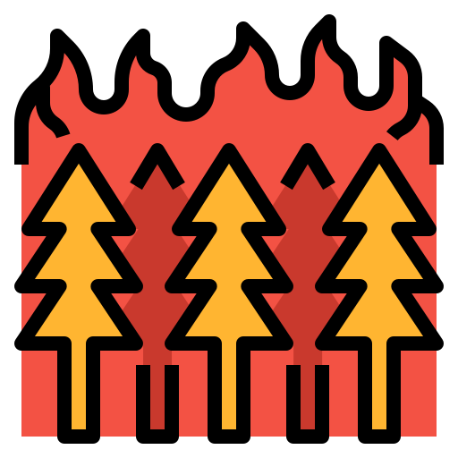 불 Aphiradee (monkik) Lineal Color icon