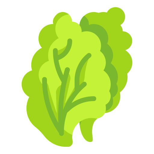 Lettuce Wanicon Flat icon