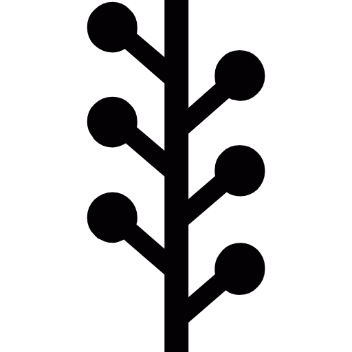 organizator graficzny drzewa  ikona