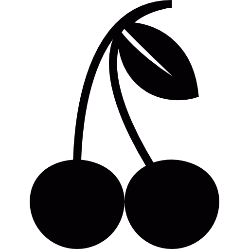 Two cherries  icon