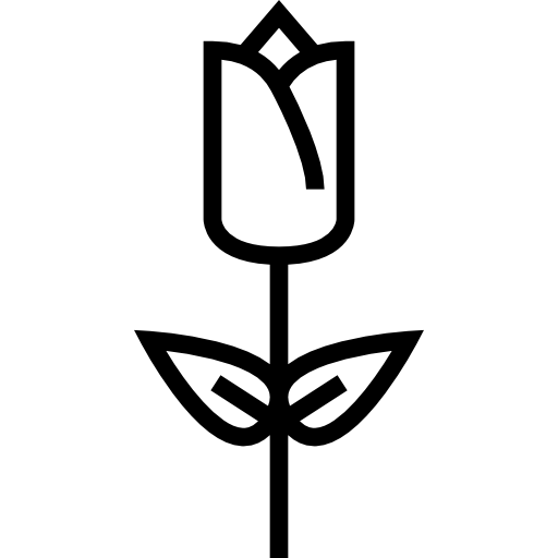 tulipano Detailed Straight Lineal icona
