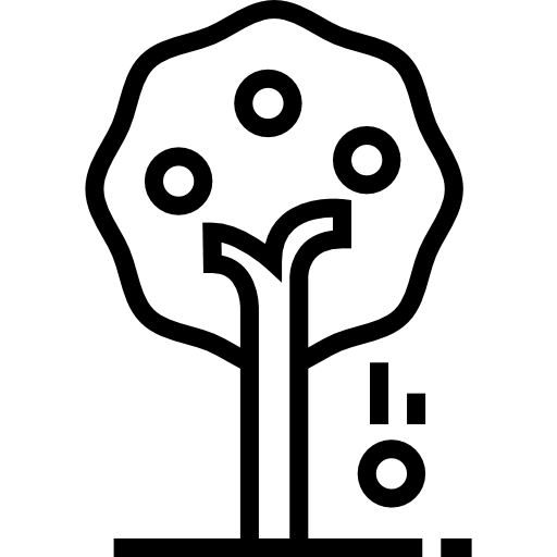 albero da frutta Detailed Straight Lineal icona