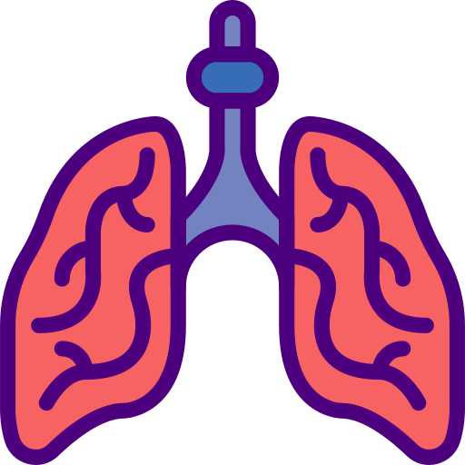 肺 prettycons Lineal Color icon