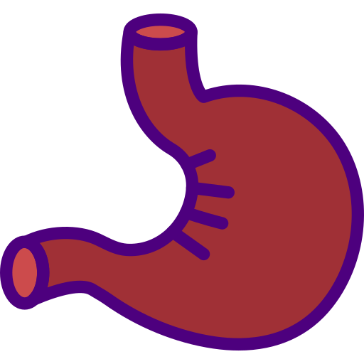 Stomach prettycons Lineal Color icon