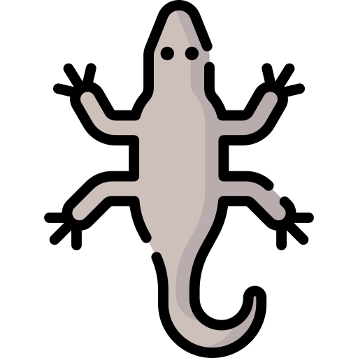 도마뱀 Special Lineal color icon