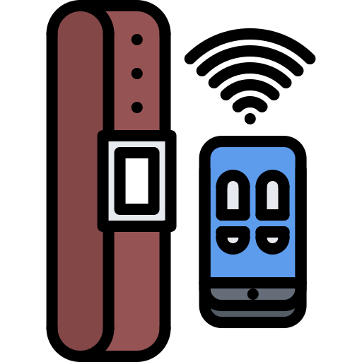 Cinturon inteligente Coloring Color icono