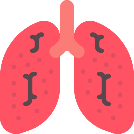 肺癌 Basic Miscellany Flat icon