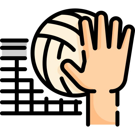 volleyball Special Lineal color icon