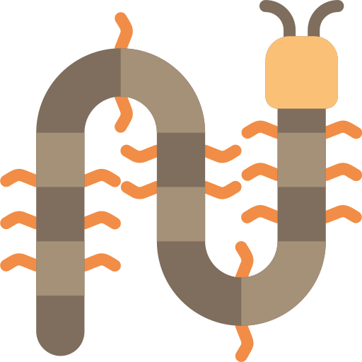 Centipede Basic Miscellany Flat icon