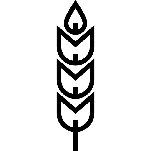 小麦 Detailed Straight Lineal icon