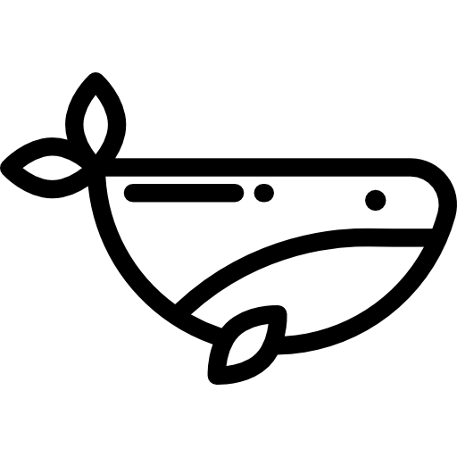 Whale Detailed Rounded Lineal icon