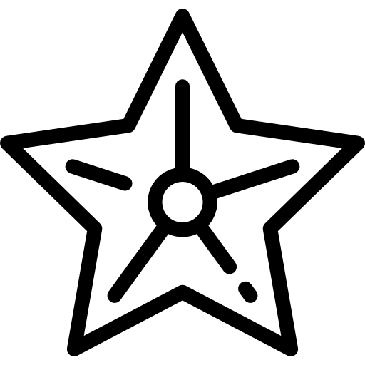 estrela do mar Detailed Rounded Lineal Ícone