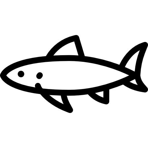 鮫 Detailed Rounded Lineal icon