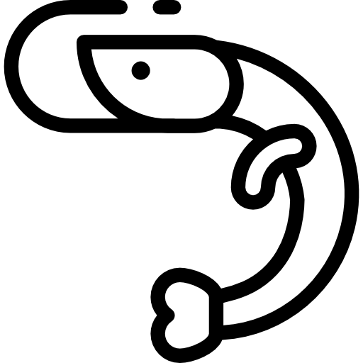 エビ Detailed Rounded Lineal icon